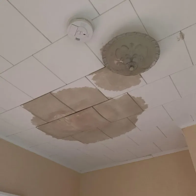 Ceiling Water Damage Repair in Water Valley, MS