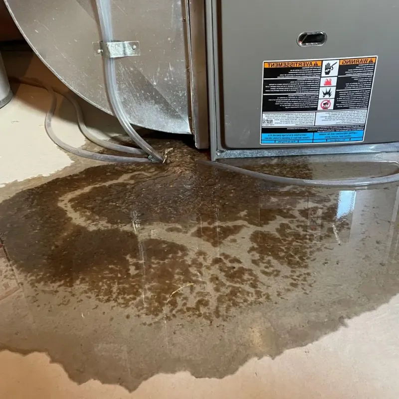Pipe Burst and Leak Restoration in Water Valley, MS