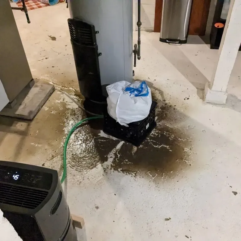 Sewage Backup Cleanup Service in Water Valley, MS